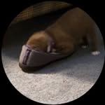 Carol Embrey Belles - @carolbiinva - Instagram
