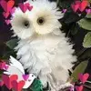 Carolyn Embrey - @carolynembrey - TikTok