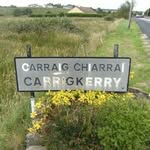 Carol Enright - @efourleafclover - Instagram