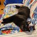 Carol Epps - Facebook
