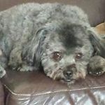 Carol Lewis Ernst - @ernst.carol - Instagram