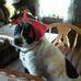 Carol Esch - Facebook