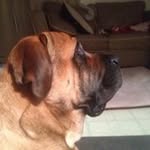 Carole Sonmor - @carolesonmor - Instagram