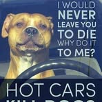 Carol Esslinger - Facebook