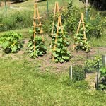 Carol F. Wetzel - @carolf.wetzel - Instagram