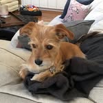 Carol Wetzel - @carol.wetzel - Instagram