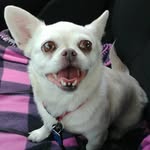 Carol Wetzel - @carol.wetzel.756 - Instagram