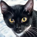 Carol Wetzel - @wetzelcarol - Instagram