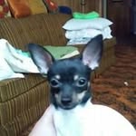 Carol Wetzel - @carol.wetzel72 - Instagram