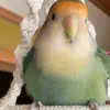 user4742997943509 - @carolyn.etzell - TikTok