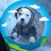 Carol Eubanks - Facebook