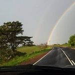 Carol Everett - @carol.everett.391 - Instagram