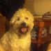 Carol Everman - Facebook
