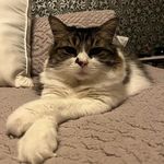 Carole Vermandere - @carolevermandere - Instagram