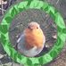 Carol Everson - Facebook