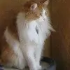 Carole Everson - @carole.everson - TikTok