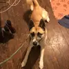 Carol Everts - @carol.everts - TikTok