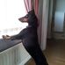 Carol Eves - Facebook