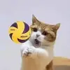 carolevespam - @tiktoxpi9mh - TikTok