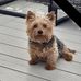 Carol Eveson - Facebook