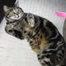 Anne Carol Fairhurst - Facebook