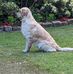 Carol Fairhurst - Facebook