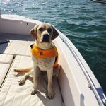 Carol Anne Fallon - @carol_a_fallon - Instagram