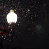 CarolFarber8413 - @carolfarber8413 - TikTok