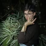 forrageando_poraí - @carolfarhat2 - Instagram