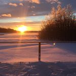 Carol Farrell - @farrell8998 - Instagram
