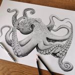 Carol Farrell - @carolfarrellillustration - Instagram