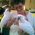 Carol Farris - @farris9034 - Instagram