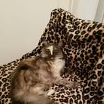 Carol Farris - @carol.farris.56884 - Instagram