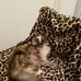Carol Farris - Facebook