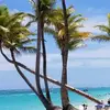 caroljfarris - @caroljfarris - TikTok