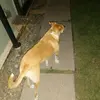 Carol Fedor260 - @bennybinx - TikTok