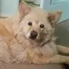 Carol Feiling - @carol.feiling - TikTok