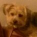 Carol Feiring - Facebook