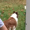 Carol Felderman - @carol.felderman - TikTok
