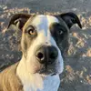 Carole Felder - @carole.felder - TikTok