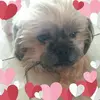 carolynferrante50 - @carolynferrante50 - TikTok