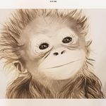 @carol_fielding_1 - Instagram
