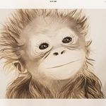 Carol Fielding - @velmur - Instagram