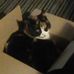 Carol M J Fielding - Facebook