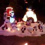Carole Fielding - @carole.fielding.794 - Instagram