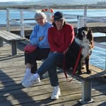 Carol Finney - @carol.finney.141 - Instagram