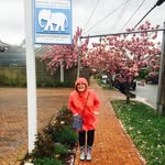 Carol Flavin - @carol_flavin - Instagram