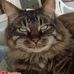 Carol Fleming - Facebook