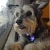 Carol Flick - Facebook