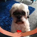 Carol Forrest - @forrest.carol - Instagram